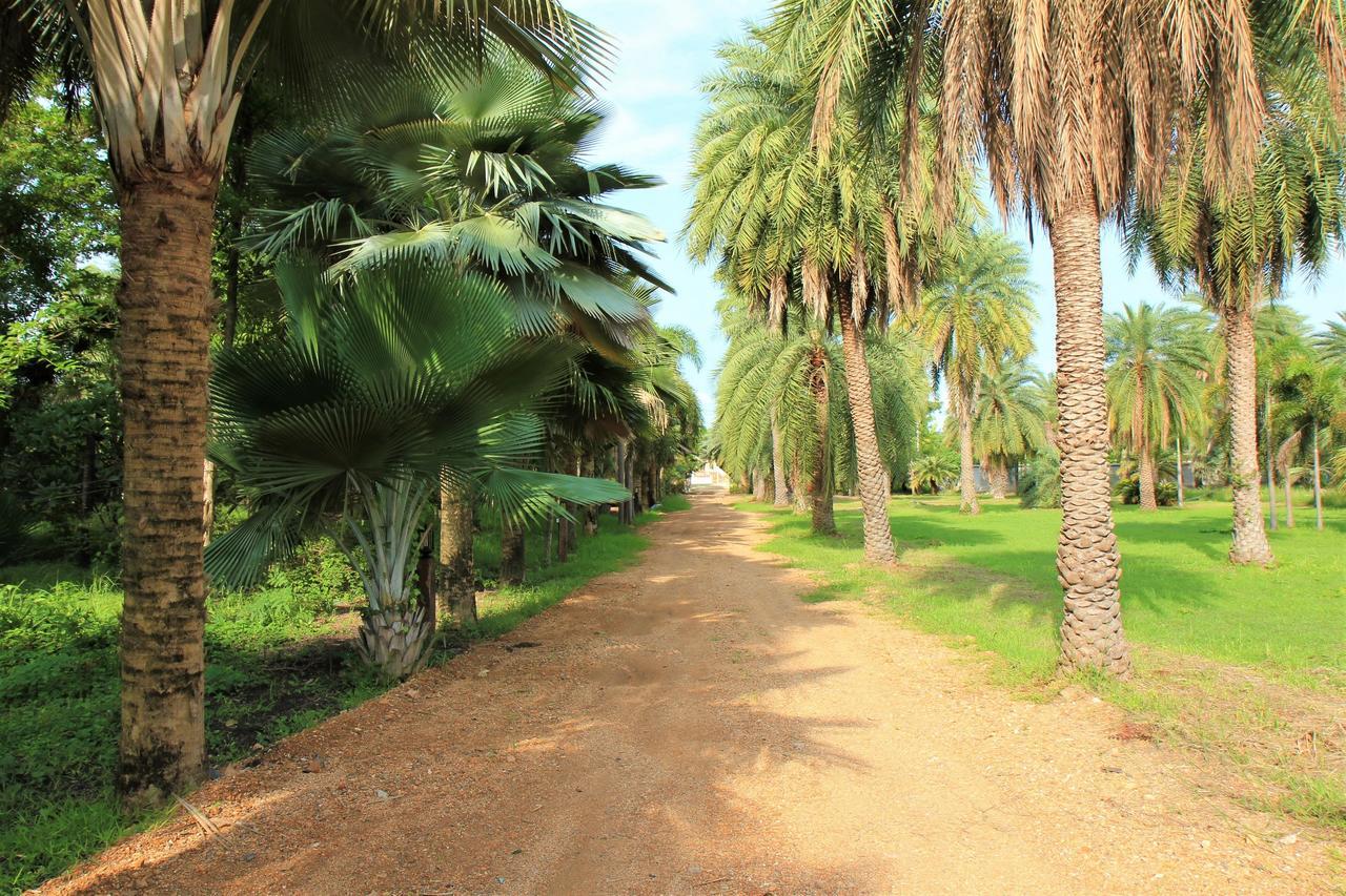 Lopburi Palm Resort Kültér fotó