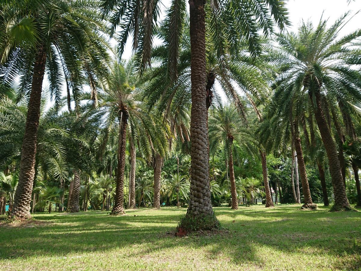 Lopburi Palm Resort Kültér fotó